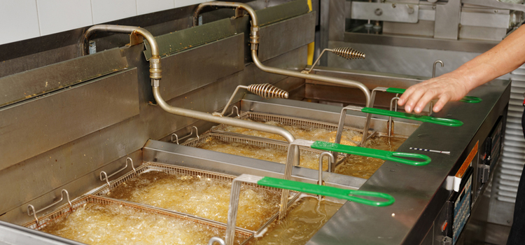 Liebherr Commercial Fryer Repair in Bayonne, NJ